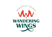 Wandering Wings