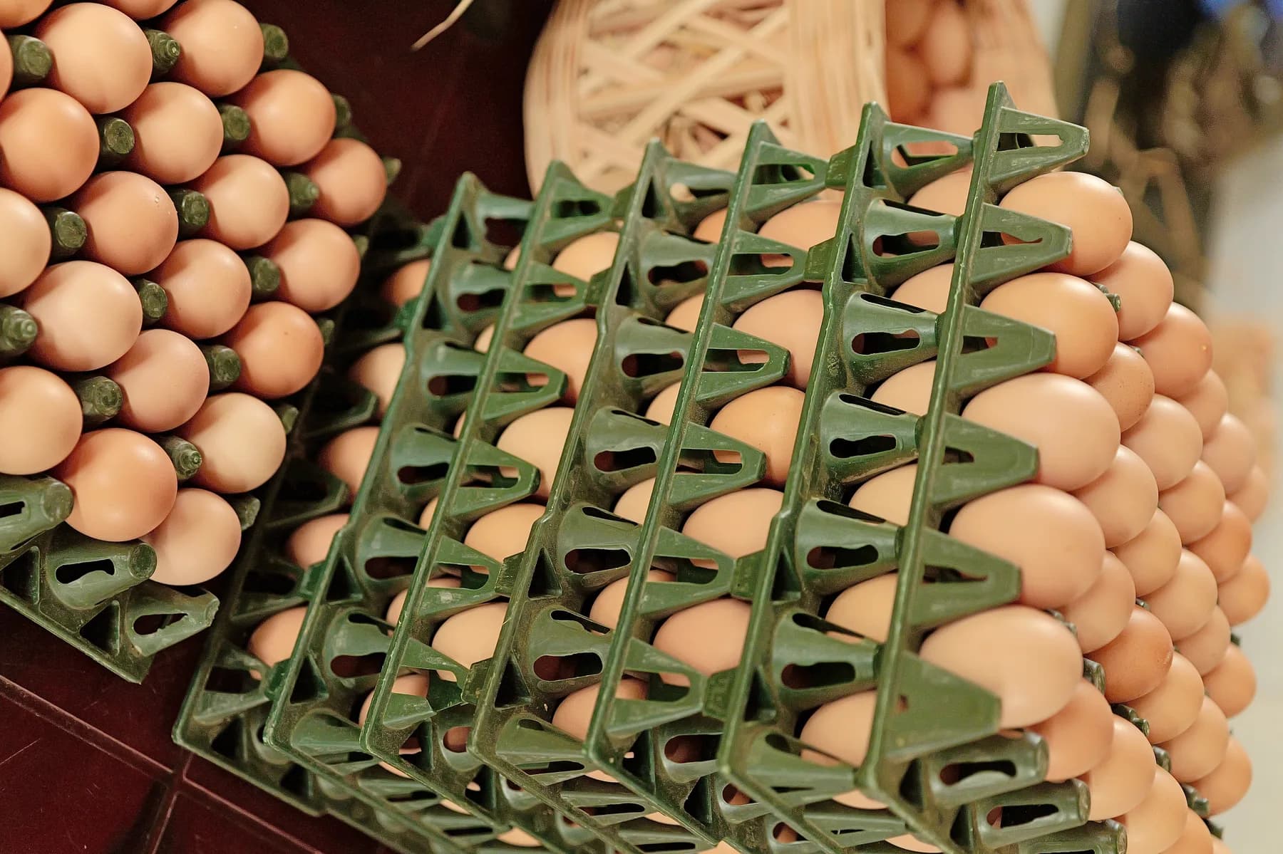 Farm-fresh eggs stacked in reusable trays